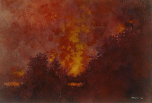 Donald Holden