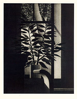 Robert Kipniss