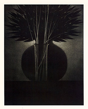 Robert Kipniss